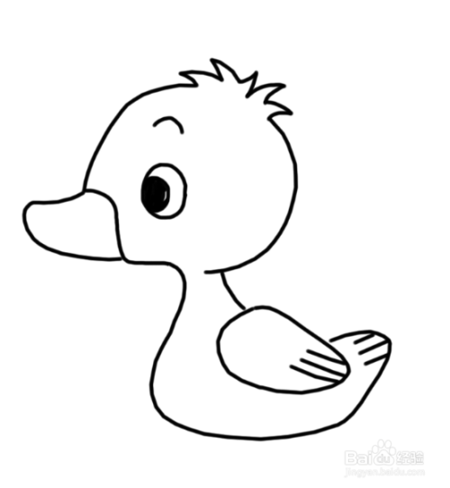 动物简笔画:可爱的小鸭子简笔画