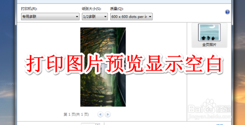 打印图片预览显示空白