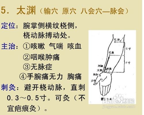 中医经络知识之手太阴肺经图解