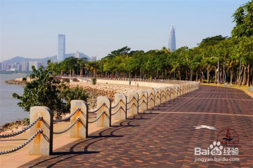 深圳红树林海滨公园旅游好玩吗