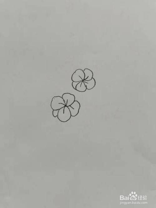 第一步,我们画两朵小梅花.