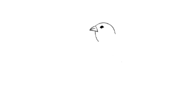 鸟的简笔画怎么画