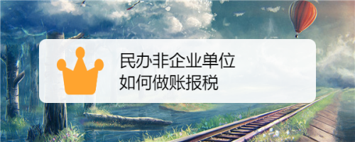 民办非企业单位如何做账报税