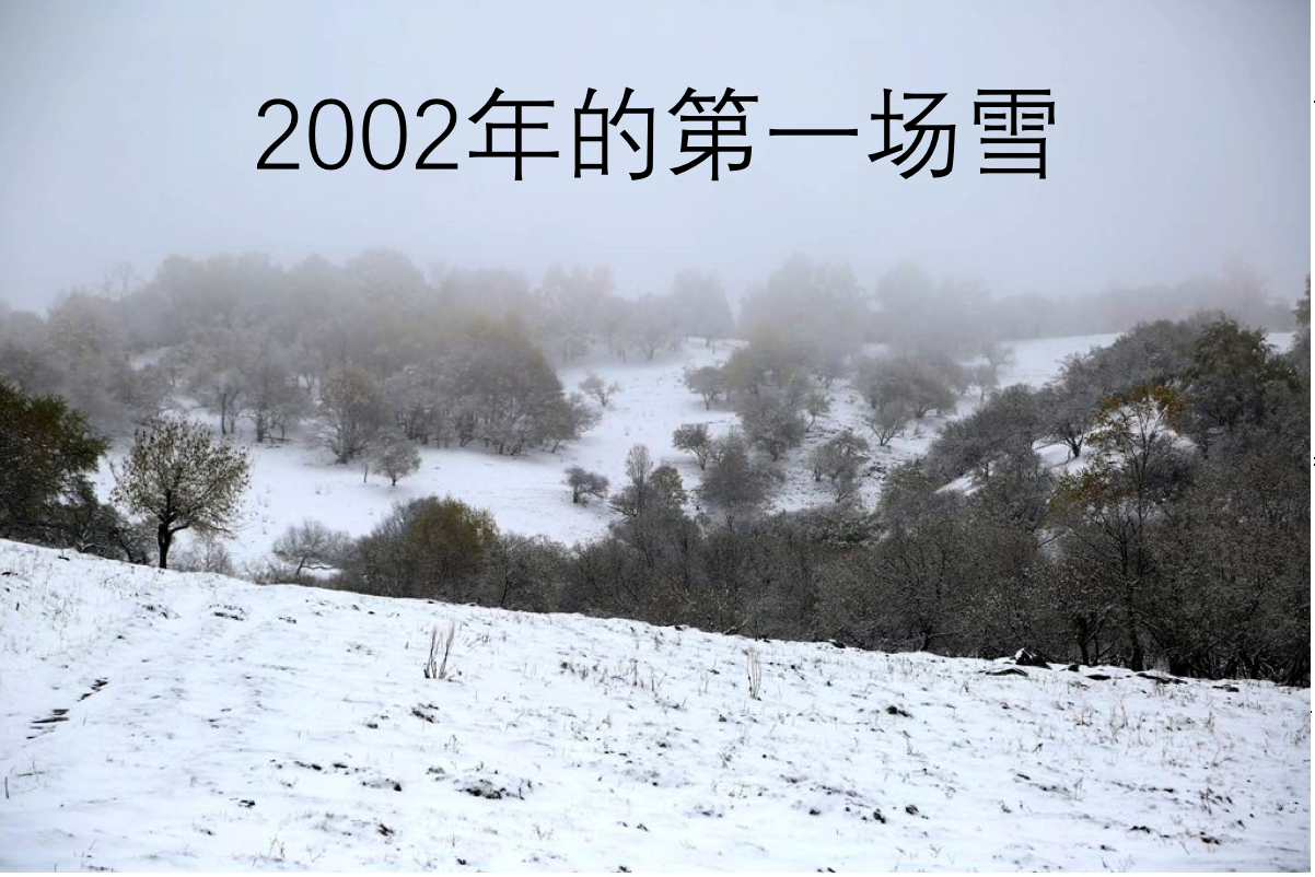 2CD、刀郎-2002年的第一场雪-价格:2元-au15213574-音乐CD -加价-7788收藏__收藏热线