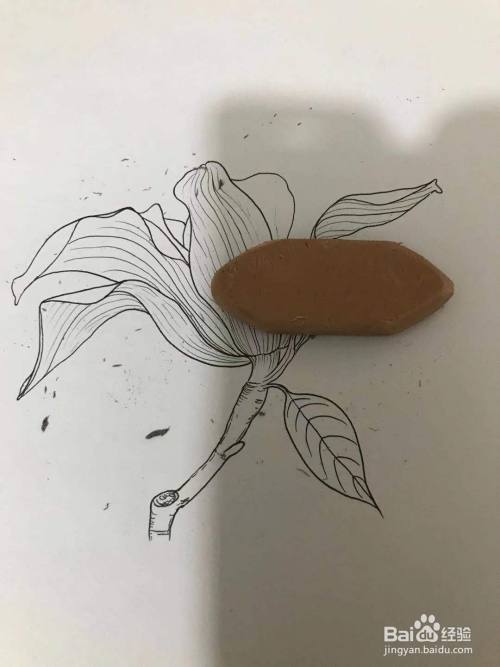如何画一朵玉兰花