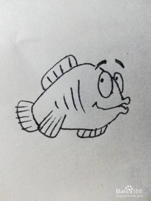 怎么画可爱鱼简笔画