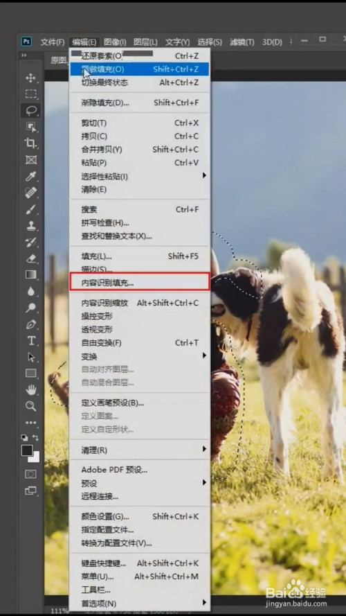首先用套索工具圈出人物,然后点击"编辑","内容识别填充".
