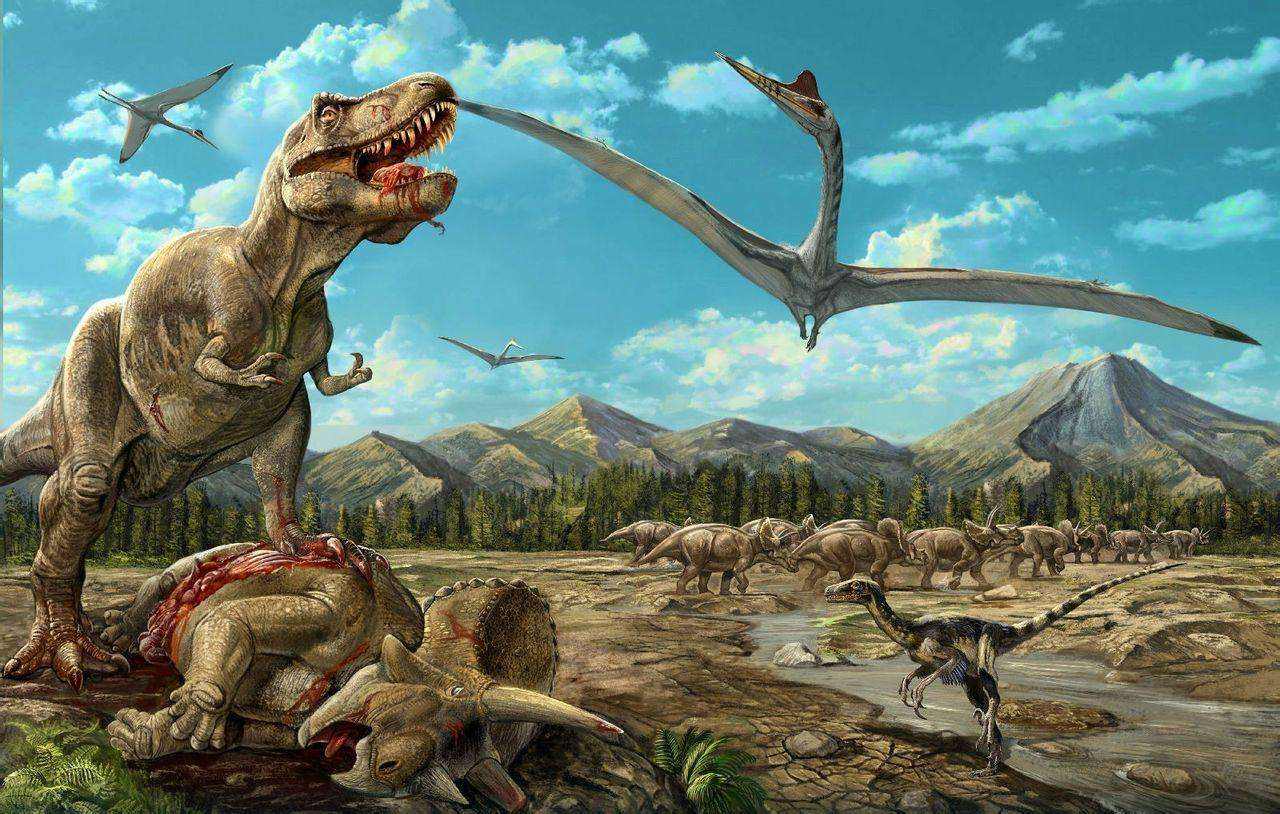 恐龙有哪些种类（最全恐龙种类图片） – 碳资讯