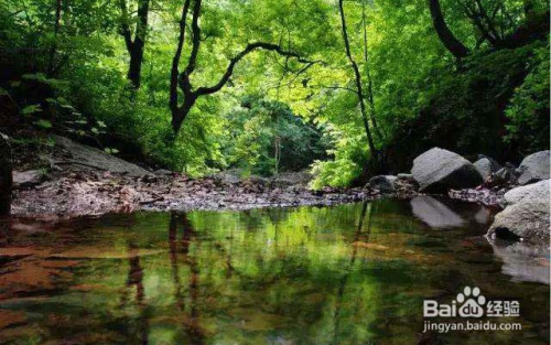 沈阳车主自驾游:抚顺筐子沟生态风景区