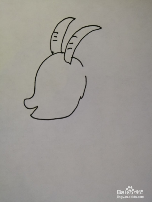 第二步,接着在可爱的小羊的头顶上画出两个羊角,注意羊角上条纹的
