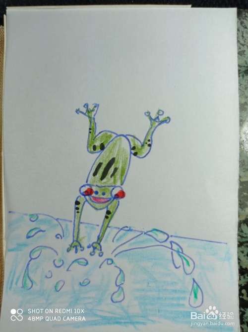 怎样画简笔画跳水的青蛙?