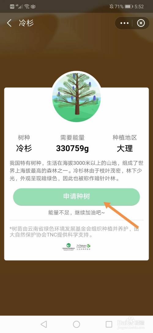 蚂蚁森林冷杉怎么合种