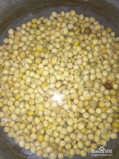 泡发的黄豆涨大一倍左右.