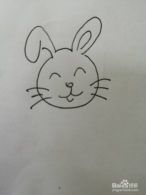 第五步,在可爱的小兔子的头部两边画出胡须,画法也比较简单.