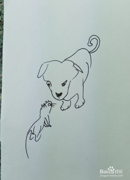 怎样画简笔画"老鼠遇到狗"?