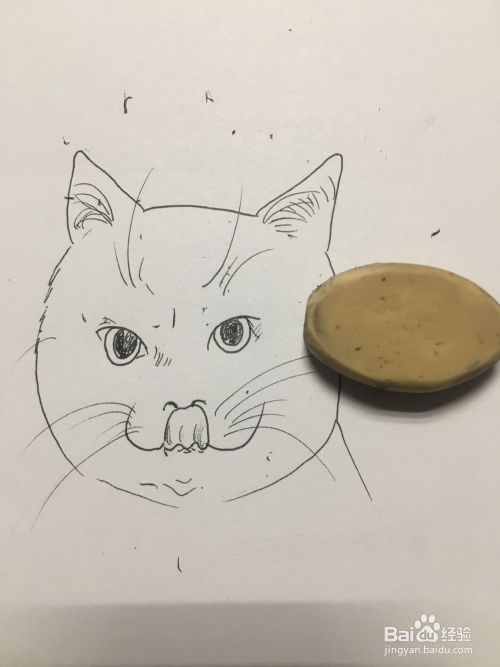 画三只小猫的头像 画猫咪 简笔画 线描画 手绘