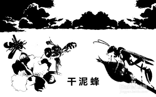 干泥蜂简笔画