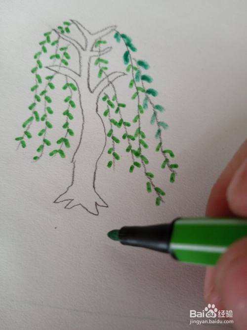 接下来画出柳树的树叶子,可以画得密一些.