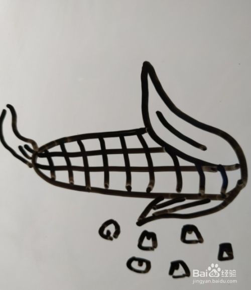 在玉米的下方画出一些散落的玉米粒.玉米就完成了.如图所示.