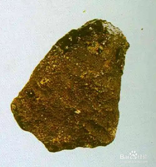 龙涎香最简单鉴定