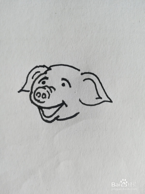 2 然后画出小猪的猪嘴 3 再画出小猪的猪耳朵 4 画出小猪的猪身体 5