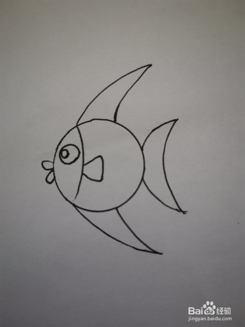 幼儿简笔画:热带鱼怎么画图?