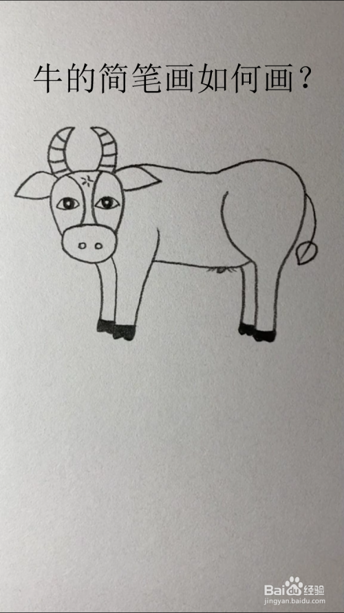 牛的简笔画如何画?