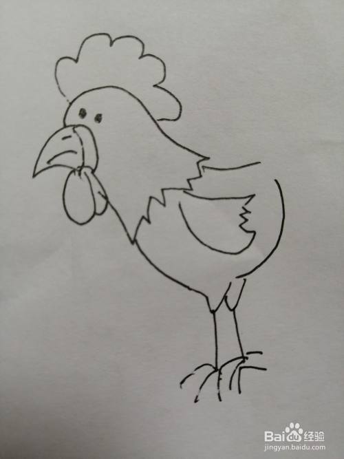 简笔画大公鸡怎么画