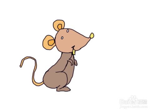 怎么画儿童彩色简笔画可爱的小老鼠?