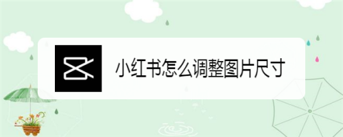 小红书怎么调整图片尺寸