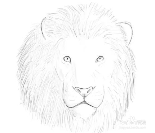 如何画狮子头