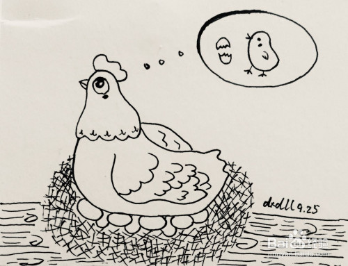 在框架中画出一只破壳而出的小鸡.