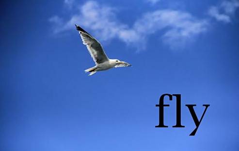 fly london shoes nordstrom rack