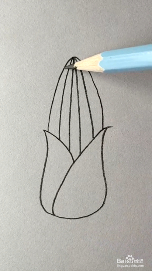 玉米的简笔画如何画?