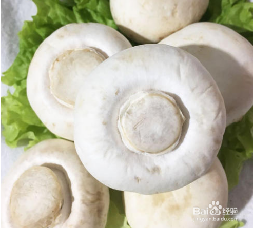 白蘑菇的搭配禁忌