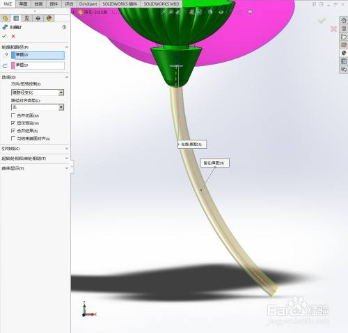 用solidworks绘制一个荷花模型