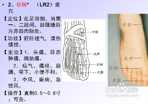 中医经络知识之足厥阴肝经图解