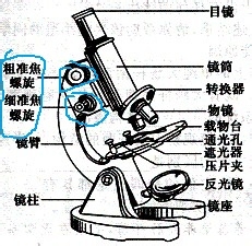 光学显微镜什么组成[2]机械部分