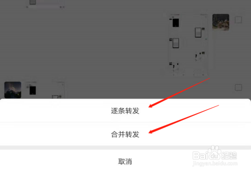 然后选择是合并转发还是逐条转发