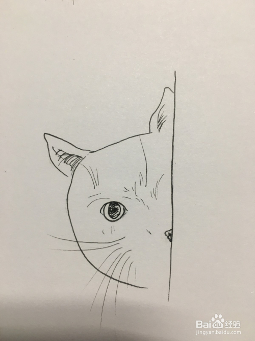 画三只小猫的头像 画猫咪 简笔画 线描画 手绘