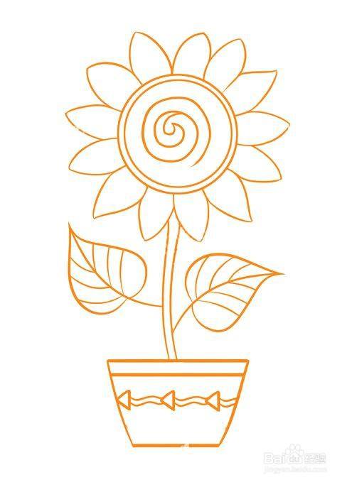 儿童简笔画-可爱的盆栽太阳花的简笔画法