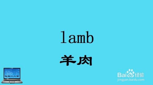 牛肉,羊肉,鸡肉等相关英语单词