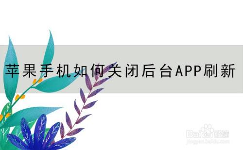 怎么关闭后台app刷新,下面小编将介绍苹果手机怎么关掉后台app刷新