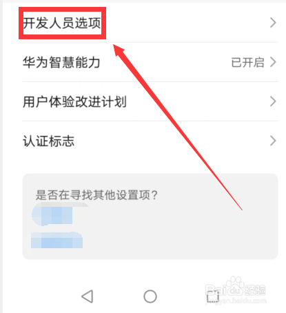 然后再点击【开发人员选项】并进入页面