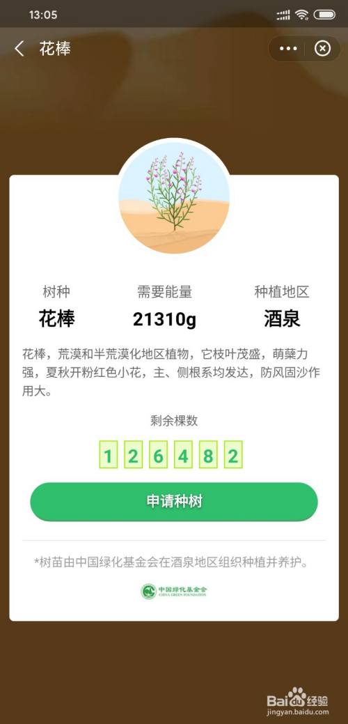 支付宝蚂蚁森林怎么种花棒