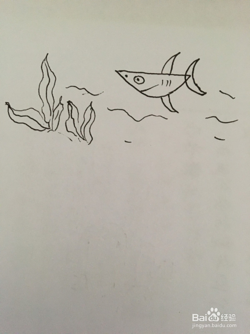 幼儿简单笔画海洋鱼