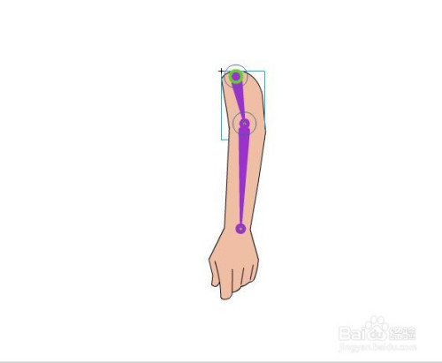 flash用骨骼工具制作手臂弯曲的效果