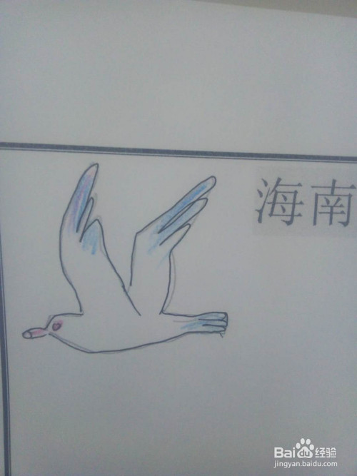 海南自由贸易港畅想手抄报
