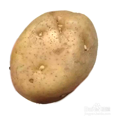 怎样判断土豆发芽图片