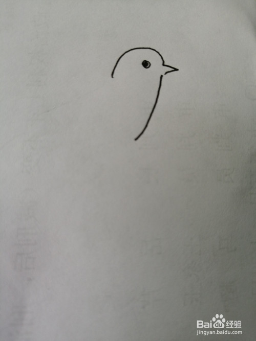 简笔画可爱的小鸟怎么画